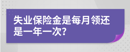 失業(yè)保險(xiǎn)金是每月領(lǐng)還是一年一次？