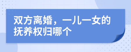 雙方離婚，一兒一女的撫養(yǎng)權(quán)歸哪個(gè)