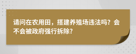 請(qǐng)問在農(nóng)用田，搭建養(yǎng)殖場違法嗎？會(huì)不會(huì)被政府強(qiáng)行拆除?