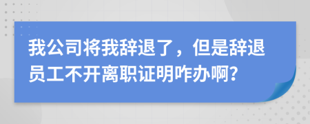 我公司將我辭退了，但是辭退員工不開離職證明咋辦?。?>
                </a>
            </div>
            <div   id=