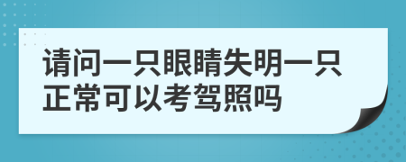 請(qǐng)問(wèn)一只眼睛失明一只正?？梢钥捡{照嗎