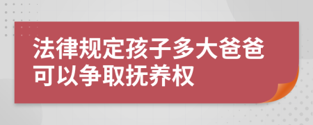 法律規(guī)定孩子多大爸爸可以爭(zhēng)取撫養(yǎng)權(quán)