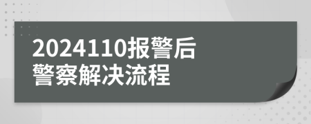 2024110報(bào)警后警察解決流程