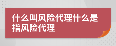 什么叫風(fēng)險(xiǎn)代理什么是指風(fēng)險(xiǎn)代理