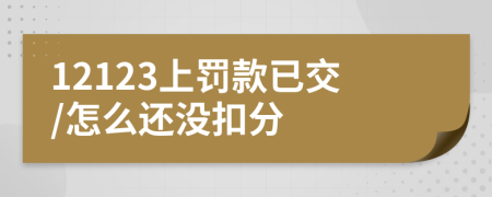 12123上罰款已交/怎么還沒扣分