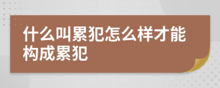 什么叫累犯怎么樣才能構(gòu)成累犯