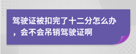 駕駛證被扣完了十二分怎么辦，會(huì)不會(huì)吊銷(xiāo)駕駛證啊