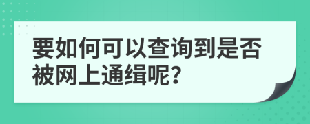 要如何可以查詢到是否被網(wǎng)上通緝呢？