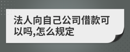 法人向自己公司借款可以嗎,怎么規(guī)定