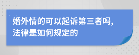 婚外情的可以起訴第三者嗎,法律是如何規(guī)定的