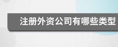 注冊(cè)外資公司有哪些類(lèi)型
