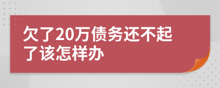 欠了20萬債務(wù)還不起了該怎樣辦