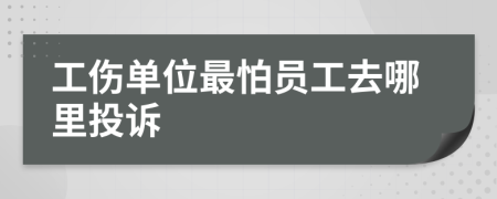 工傷單位最怕員工去哪里投訴
