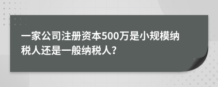 一家公司注冊(cè)資本500萬(wàn)是小規(guī)模納稅人還是一般納稅人？