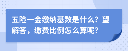 五險(xiǎn)一金繳納基數(shù)是什么？望解答，繳費(fèi)比例怎么算呢?