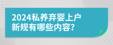 2024私養(yǎng)棄嬰上戶新規(guī)有哪些內容？