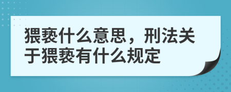 猥褻什么意思，刑法關(guān)于猥褻有什么規(guī)定