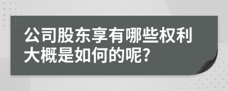 公司股東享有哪些權(quán)利大概是如何的呢?