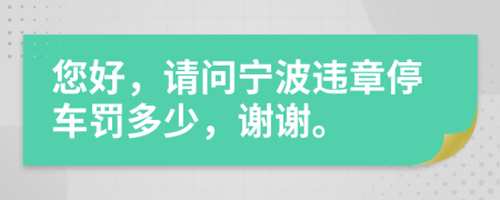 您好，請(qǐng)問(wèn)寧波違章停車罰多少，謝謝。