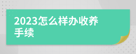 2023怎么樣辦收養(yǎng)手續(xù)