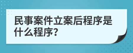 民事案件立案后程序是什么程序？