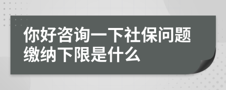 你好咨詢一下社保問題繳納下限是什么