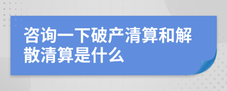 咨詢一下破產(chǎn)清算和解散清算是什么