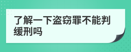 了解一下盜竊罪不能判緩刑嗎