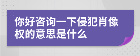 你好咨詢一下侵犯肖像權(quán)的意思是什么