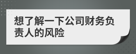 想了解一下公司財(cái)務(wù)負(fù)責(zé)人的風(fēng)險(xiǎn)