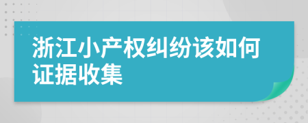 浙江小產(chǎn)權(quán)糾紛該如何證據(jù)收集