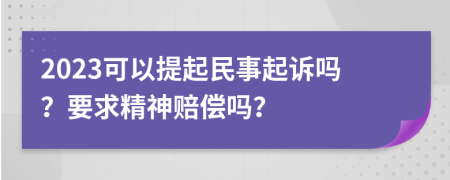 2023可以提起民事起訴嗎？要求精神賠償嗎？