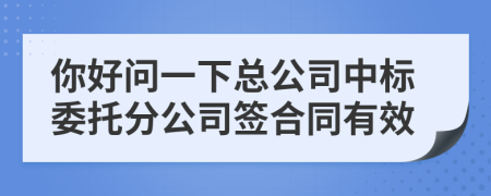 你好問一下總公司中標委托分公司簽合同有效