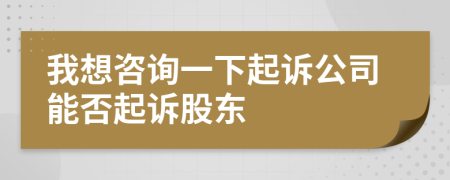 我想咨詢一下起訴公司能否起訴股東