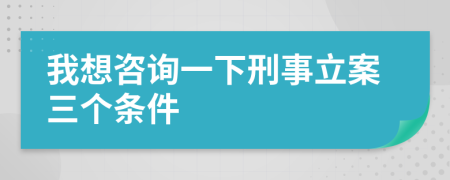 我想咨詢一下刑事立案三個條件