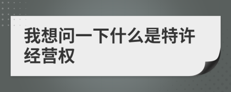我想問(wèn)一下什么是特許經(jīng)營(yíng)權(quán)