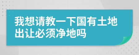 我想請教一下國有土地出讓必須凈地嗎