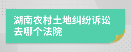 湖南農(nóng)村土地糾紛訴訟去哪個法院