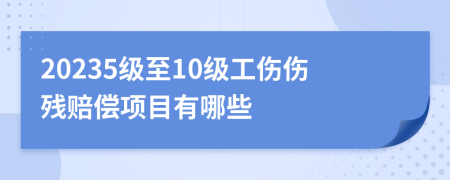 20235級至10級工傷傷殘賠償項目有哪些