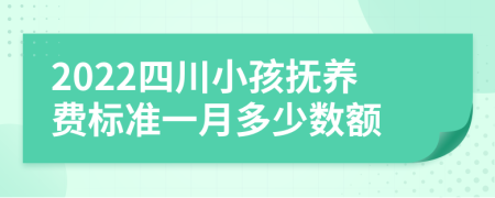 2022四川小孩撫養(yǎng)費(fèi)標(biāo)準(zhǔn)一月多少數(shù)額