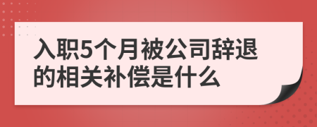入職5個月被公司辭退的相關(guān)補(bǔ)償是什么