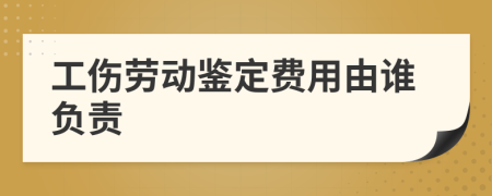 工傷勞動(dòng)鑒定費(fèi)用由誰(shuí)負(fù)責(zé)