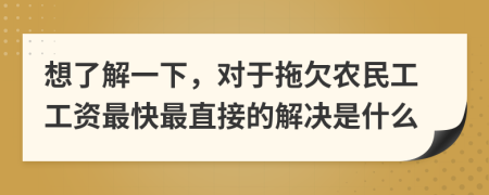 想了解一下，對于拖欠農(nóng)民工工資最快最直接的解決是什么