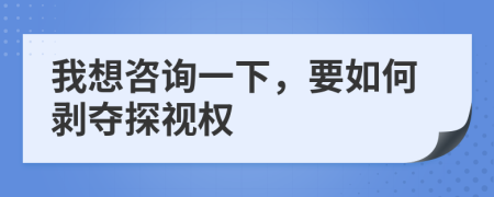 我想咨詢一下，要如何剝奪探視權(quán)