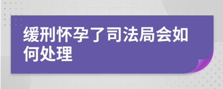 緩刑懷孕了司法局會如何處理