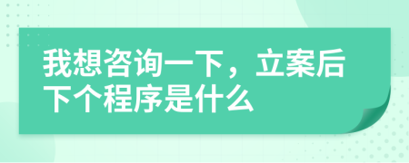 我想咨詢一下，立案后下個(gè)程序是什么