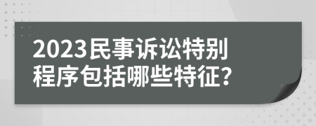 2023民事訴訟特別程序包括哪些特征？