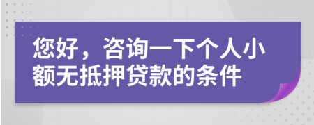 您好，咨詢一下個人小額無抵押貸款的條件
