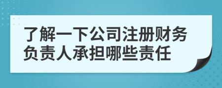 了解一下公司注冊財務(wù)負責(zé)人承擔(dān)哪些責(zé)任