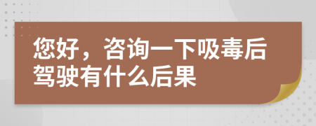 您好，咨詢一下吸毒后駕駛有什么后果